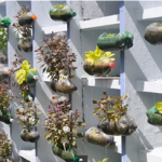DIY Hanging Plastic Bottle Garden