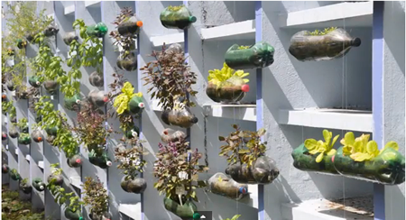 DIY Hanging Plastic Bottle Garden