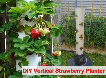 DIY Vertical Strawberry Tube Planter