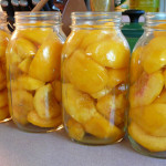 Canning Peaches Recipes