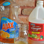 diy homemade fly trap