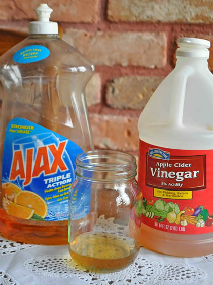diy homemade fly trap