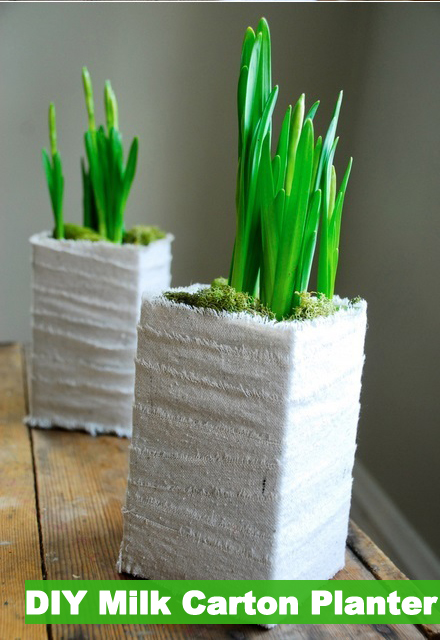 DIY Milk Carton Planters