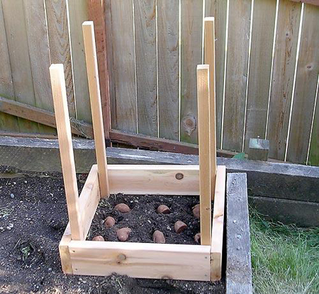 How to build a potato box