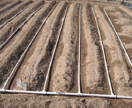 DIY $100 Drip Irrigation System