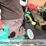 5 Money Saving Gardening Tips
