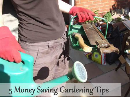 5 Money Saving Gardening Tips