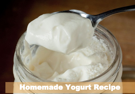 Homemade Yogurt Recipe
