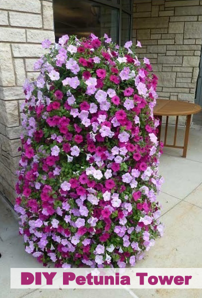 DIY How To Make A Petunia Tower