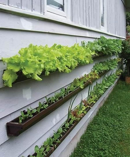 DIY Vertical Garden From Gutters