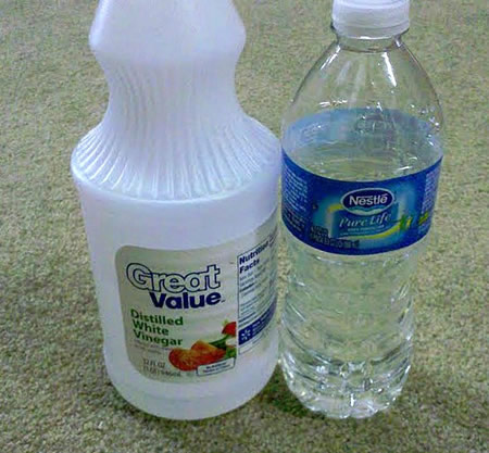 5 DIY Home Carpet Cleaning Tips