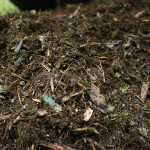 5 Garden Composting Tips