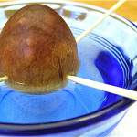 How To Grow An Avocado Tree