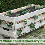 DIY Wood Pallet Strawberry Planter