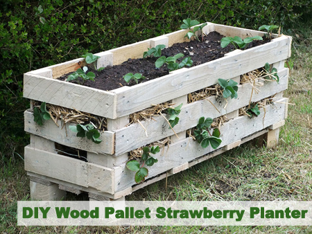 DIY Wood Pallet Strawberry Planter
