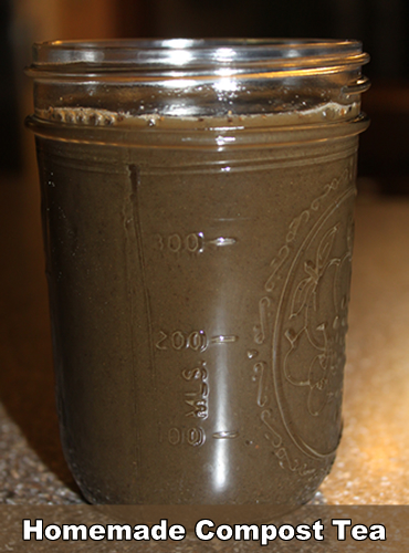 Homemade Compost Tea Recipe
