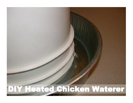 DIY Homemade Heated Chicken Waterer