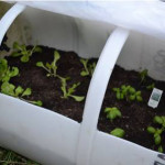 DIY Portable Rain Barrel Mini Greenhouse