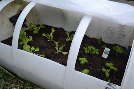 DIY Portable Rain Barrel Mini Greenhouse