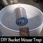 DIY 5 Gallon Bucket Mouse Trap