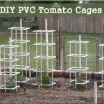 DIY PVC Tomato Cages