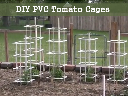 DIY PVC Tomato Cages