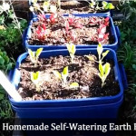 DIY Homemade Self Watering Earthbox