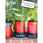 DIY Tin Can Herb Garden