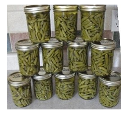 Canning Green Beans