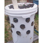 DIY Strawberry eBucket
