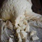 Homemade Farm Style Cheese Recipe