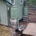 DIY Automatic Rainwater Chicken Waterer