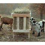 DIY Square Bale Goat Hay Feeder