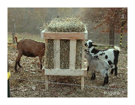 DIY Square Bale Goat Hay Feeder