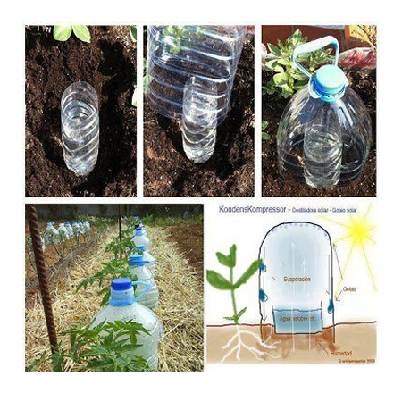 DIY Goteo Drip Irrigation System
