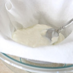 Homemade Greek Yogurt Recipe