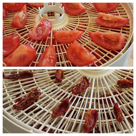 How To Dehydrate Tomatoes
