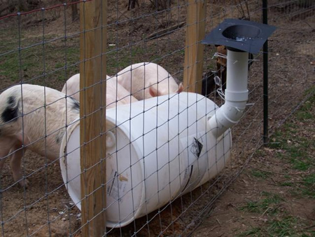 DIY Homemade Pig Feeder