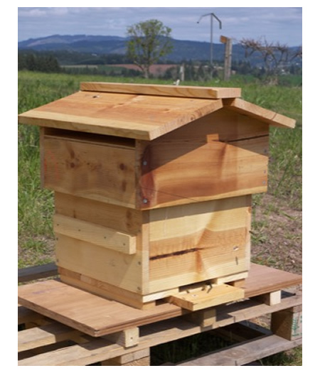 DIY Warre Beehive Plans