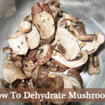 How To Dehydrate Mushrooms