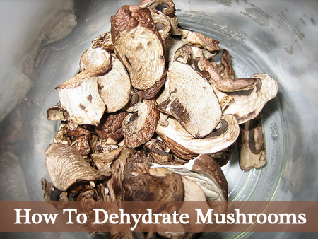 How To Dehydrate Mushrooms