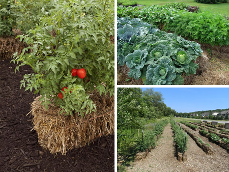 Straw Bale Gardening Techniques