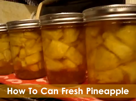 Canning Fresh Pineapple