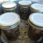 Canning Mushrooms