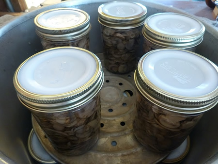 Canning Mushrooms