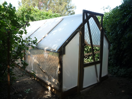 DIY Wood Pallet Greenhouse
