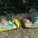 Growing Tomatoes In Dirt Bags