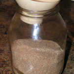 Homemade Soy Free Chick Starter Feed Recipe