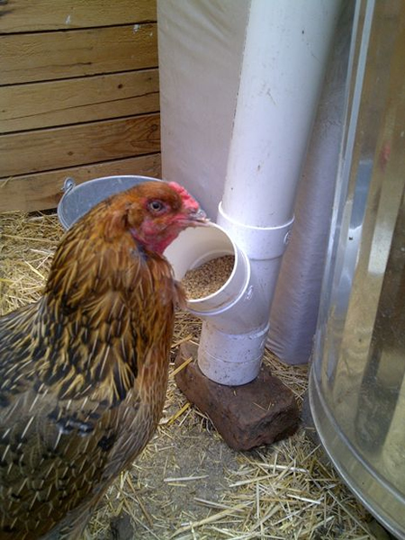 DIY No Spill PVC Chicken Feeder