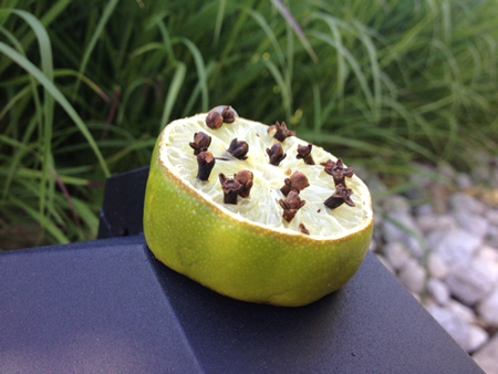 Natural Mosquito Repellant Recipe